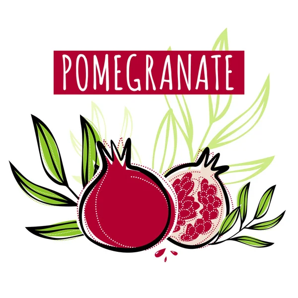 Vector sketch pomegranate fruit decorated with leaves. Hand drawn vector illustration for labels, restaurant menu, market label or package or another design. — Stock Vector