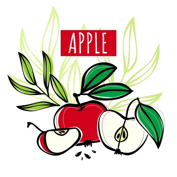 Boceto vectorial fruta de manzana decorada con hojas. Ilustración vectorial dibujada a mano para etiquetas, menú de restaurante, etiqueta o paquete de mercado u otro diseño . — Vector de stock