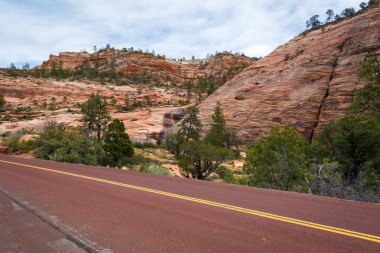 Zion Ulusal Parkı 'ndan geçen yol. Kaya tepeleri ve ağaçların manzarası. Utah, Usa