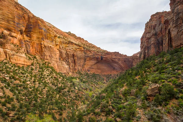 Parque Nacional Zion ubicado en los Estados Unidos en el suroeste de Utah. Hay numerosos acantilados rocosos, cascadas y ríos en el parque . — Foto de Stock