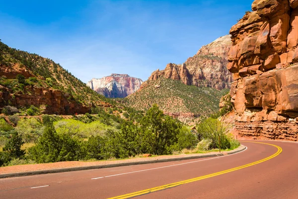 Weg door het Zion National Park. Landschap van rotshellingen en bomen. Utah, Usa — Stockfoto