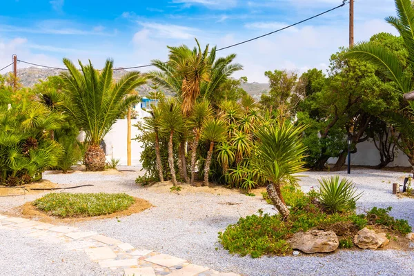 Naxos, Grecja - 21 maja 2017: Tropikalny ogród w kurorcie Meduza w pobliżu plaży Plaka. — Zdjęcie stockowe