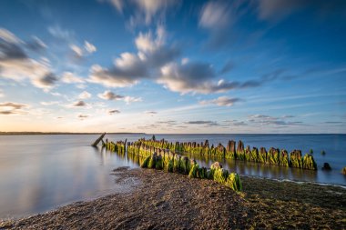 Sahildeki eski ahşap yığınları. Baltık Denizi, Rewa, Polonya