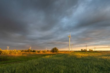 Polonya kırsalında elektrik üretimi için yel değirmeni olan tarlalar. Avrupa