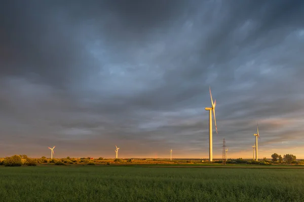 Fields with windmill for electric power production in Polish countryside. Europe — Stock Photo, Image