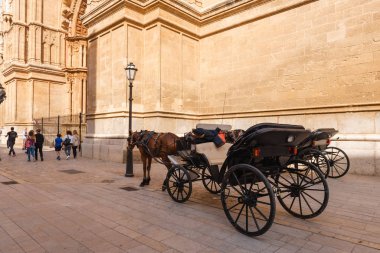 Mallorca, İspanya - 8 Mayıs 2019: Mallorca, Baleares, İspanya 'daki Gotik Palma de Mallorca Katedrali yakınlarındaki at arabası