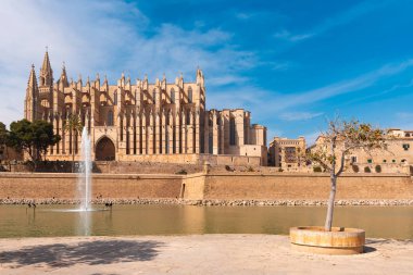 La Seu 'ya bakan gezinti güvertesi, Santa Maria de Palma de Mallorca' nın gotik katedrali. İspanya