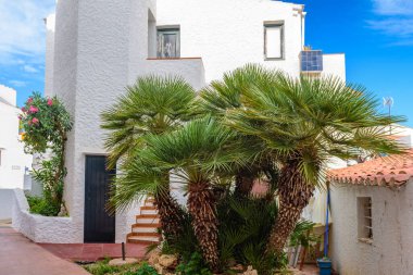 Palmiye ağacı ve Binibeca Nou köyünün tipik beyaz İspanyol mimarisi. Menorka. İspanya