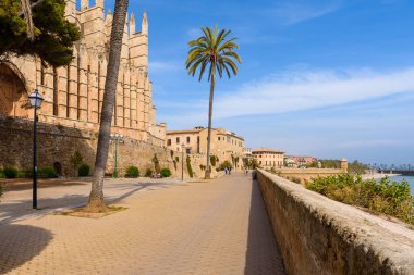 Mallorca, Spain - May 8, 2019: Promenade next to the cathedral in the center ot Palma de Mallorca in sunny summer day. Island of Mallorca, Balearic Islands, Spain.