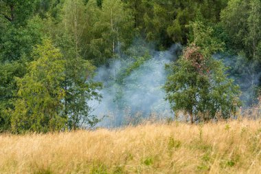Kuraklık nedeniyle ormandaki orman yangınından yoğun duman yükseliyor.