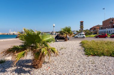 RHODES, GREECE - 13 Mayıs 2018: Rodos şehrinin merkezindeki Kountourioti meydanında büyüyen bir palmiye ağacı