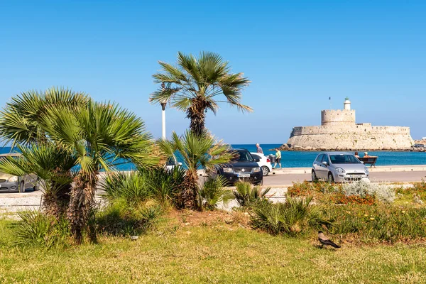 Rhodes Grèce Mai 2018 Palmiers Poussant Sur Promenade Maritime Rhodes — Photo