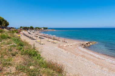 Kamiros plajı, Rodos 'un batı kıyısındaki en iyi plajlardan biri. Dodekanese, Yunanistan