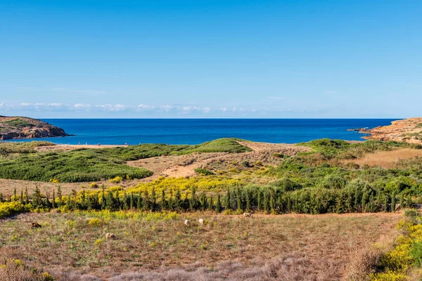 Cala Binimel Znajduje Się Północnym Wybrzeżu Menorki Hiszpania — Zdjęcie stockowe