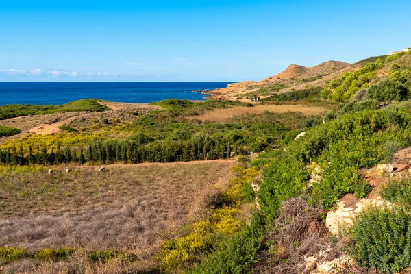 Cala Binimel Ligt Aan Noordkust Van Menorca Spanje — Stockfoto
