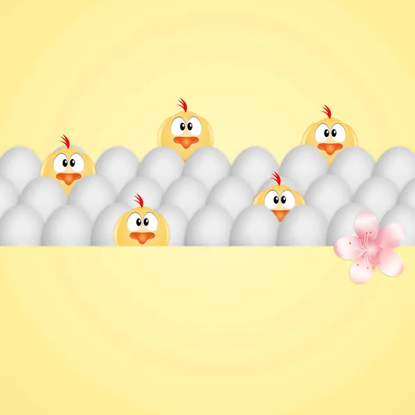 小鸡和蛋的家庭 — 图库照片