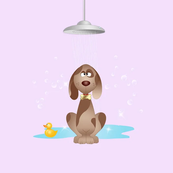 Illustration Happy Pet Grooming Dog Violet Background — Stock Photo, Image