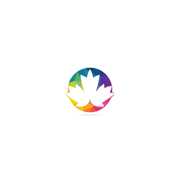Projeto Logotipo Folha Bordo Logotipo Símbolo Canadá — Vetor de Stock