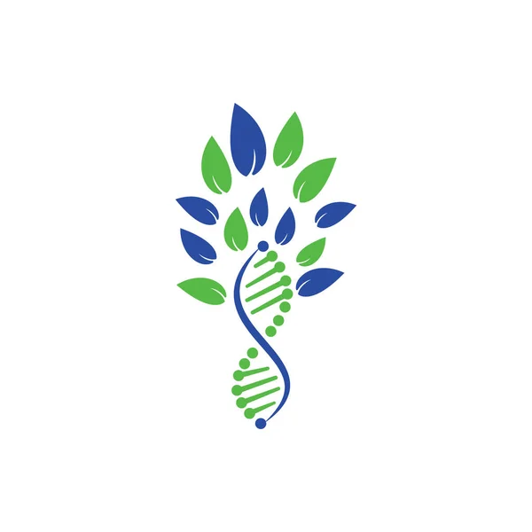 DNA ağacı vektör logosu tasarımı. DNA genetik ikonu. Yeşil yapraklı DNA vektör logosu tasarımı.