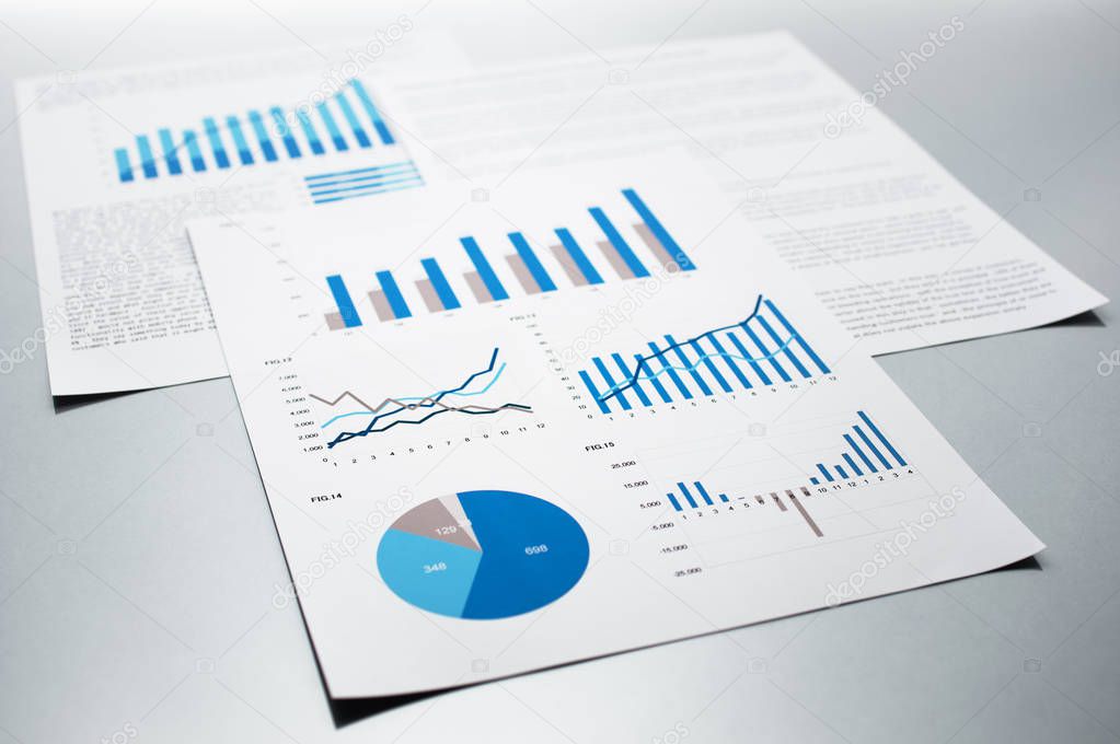 Business reports. Graphs and charts.