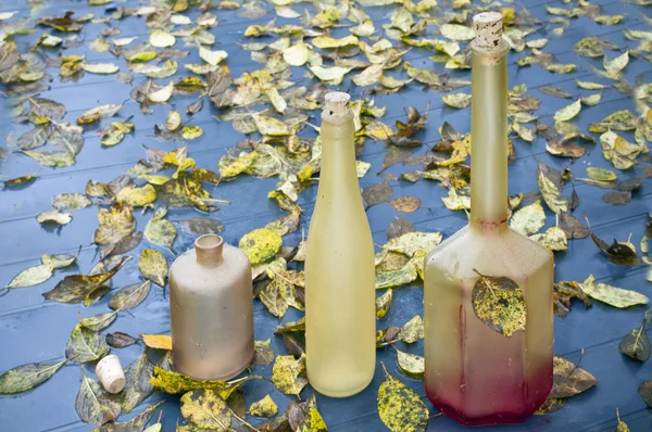 Бутылки и осенние листья — стоковое фото