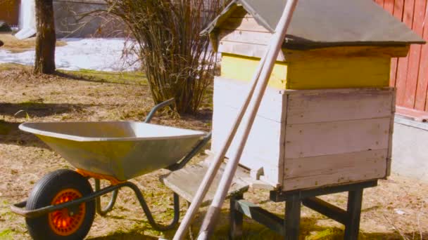 Primer vuelo de las abejas de primavera — Vídeo de stock