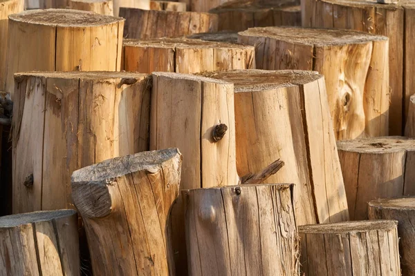 Well-organized cutted log — Stock Photo, Image