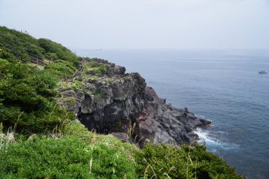 Olle iz sahası No.5