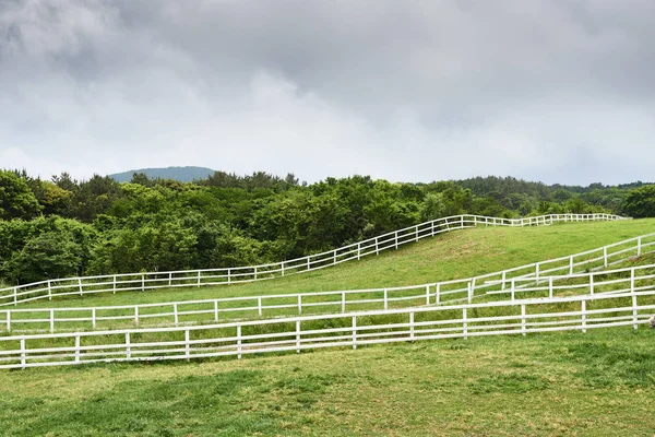 Paisaje de rancho de caballos en la isla de Jeju — Foto de Stock