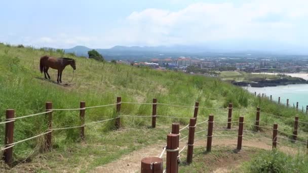 Playa Hamdeok y el sendero Olle Nº 19 en el pico Seoubong — Vídeo de stock