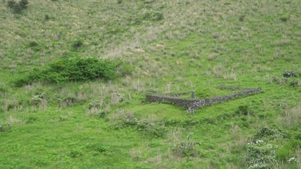 Traditional grave in Jeju Island — Stock Video