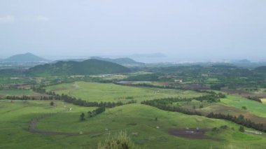 Jeju adasında çiftlik alanının güzel manzara