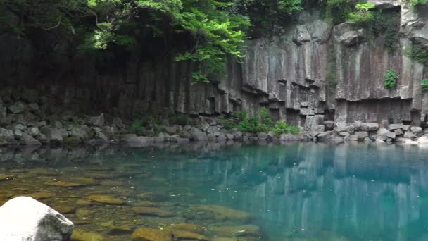 Cheonjeyeon primeira cachoeira — Vídeo de Stock