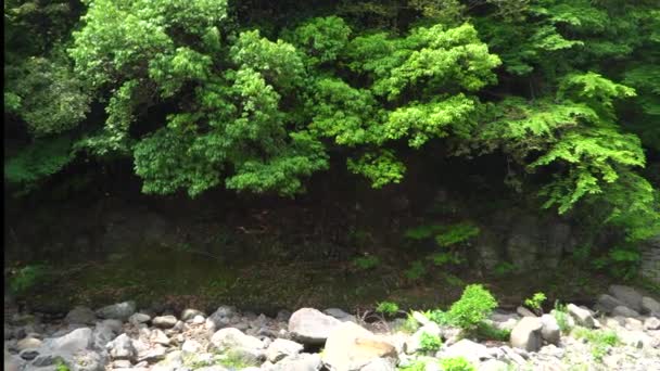 Другий Cheonjeyeon водоспад — стокове відео