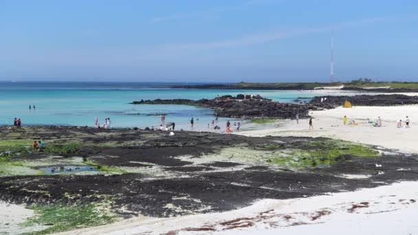 Playa de Gimnyeong Seongsegi — Vídeos de Stock