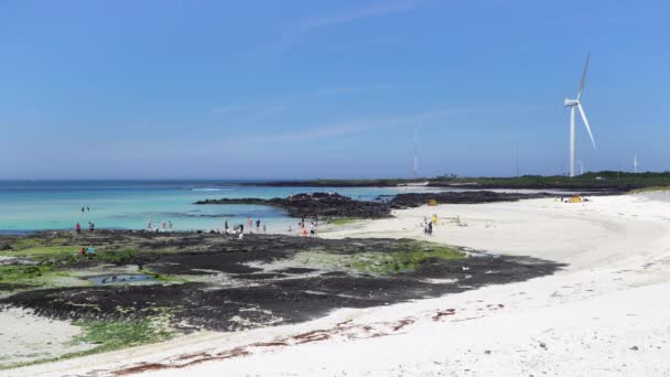 Playa de Gimnyeong Seongsegi — Vídeo de stock