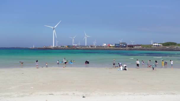 Praia Woljeongri em Gujwa-eup, Jeju — Vídeo de Stock