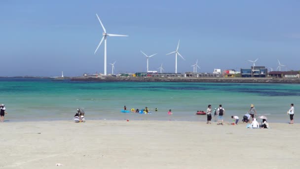 Woljeongri strand in gujwa-eup, jeju — Stockvideo