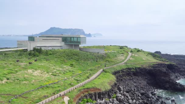 Cabo Seopjikoji en la isla de Jeju, Corea — Vídeo de stock