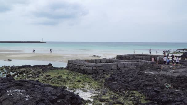 Punto d'acqua primaverile sulla spiaggia di Sehwa — Video Stock