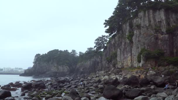 Cachoeira jeongbang — Vídeo de Stock