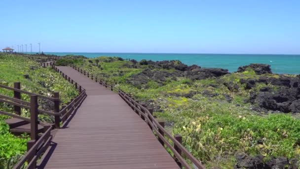 Hábitat de cactus en Wollyeong-ri — Vídeo de stock