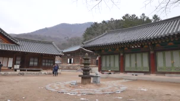 Jijangjeon in Bogwangsa temple — Stock Video