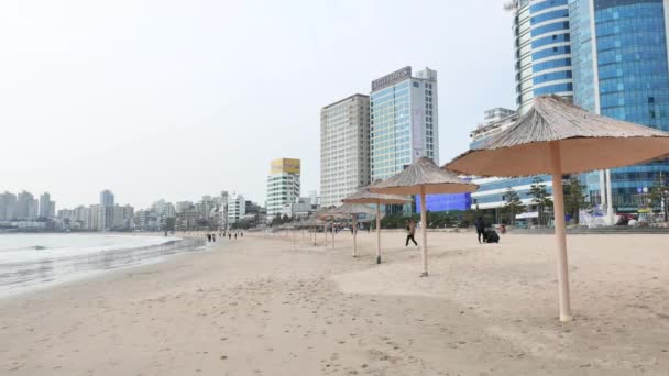 Gwangan Beach w Busan — Wideo stockowe