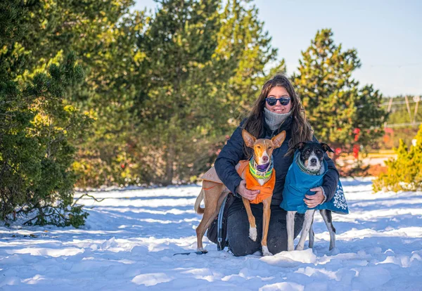 Köpekler karda genç bir kadınla poz veriyor.
