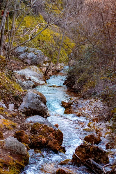 Beau Paysage Automne Avec Des Couleurs Chaudes Une Belle Rivière — Photo