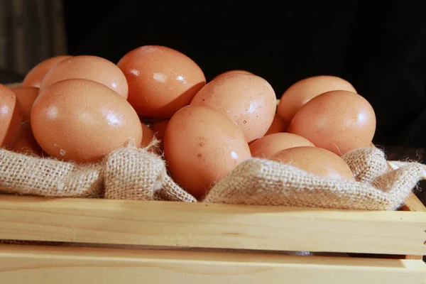 farm fresh eggs isolated on a white background.