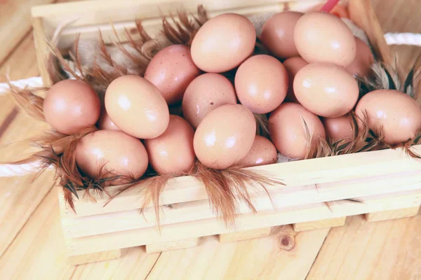 farm fresh eggs isolated on a white background.