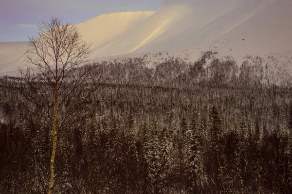 Зимние Горы Снегу — стоковое фото