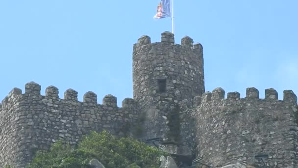 Middeleeuwse Europese kasteelmuren en toren — Stockvideo